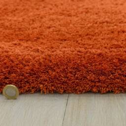Lulu Soft Touch Rug 160x230cm Spice Rug - thumbnail 6