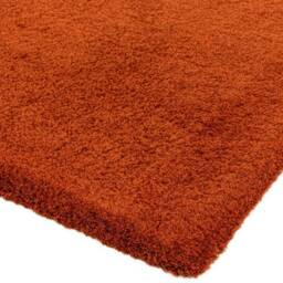 Lulu Soft Touch Rug 160x230cm Spice Rug - thumbnail 4
