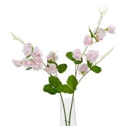 The Natural Garden Collection Pale Pink Sweetpea Stem - thumbnail 4