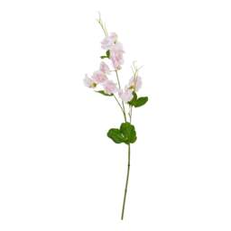 The Natural Garden Collection Pale Pink Sweetpea Stem - thumbnail 2