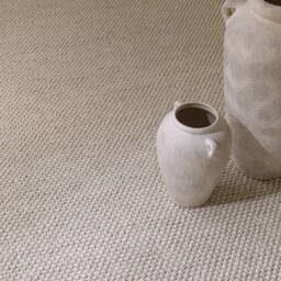 Katherine Carnaby Coast Rug 200x300cm Cream Rug - thumbnail 3