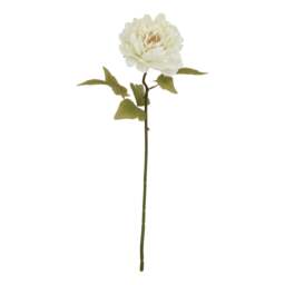 The Natural Garden Collection White Peony - thumbnail 2