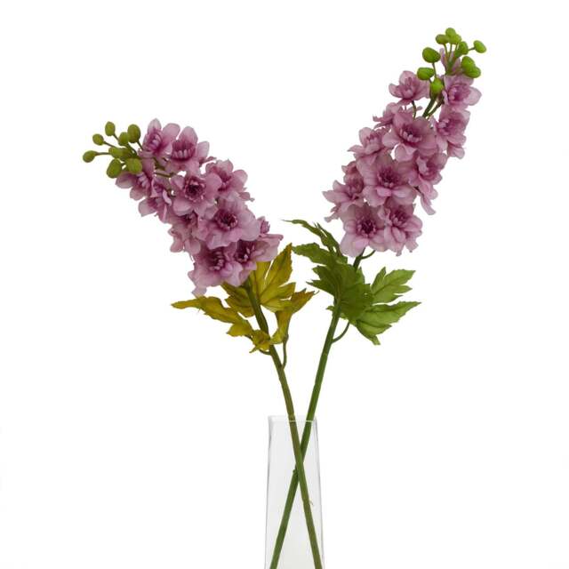 The Natural Garden Collection Purple Elatum Delphinium - image 1