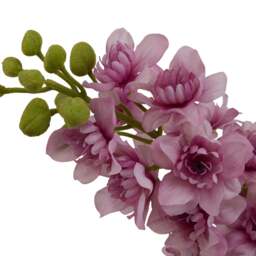 The Natural Garden Collection Purple Elatum Delphinium - thumbnail 4