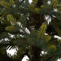 Potted Natural Pine Tree - thumbnail 4