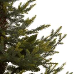 Potted Natural Pine Tree - thumbnail 3