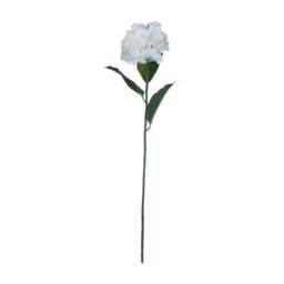 White Small Head Hydrangea - thumbnail 5