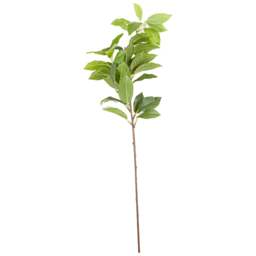 Laurel Leaf Spray - thumbnail 2