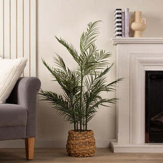 100cm Palm in Basket - image 1