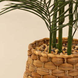 100cm Palm in Basket - thumbnail 3