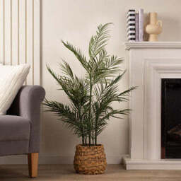100cm Palm in Basket - thumbnail 1