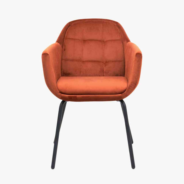 Alba Cinnamon Velvet and Black Metal Carver Dining Chair - image 1