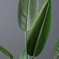 110Cm Real Touch Bird Of Paradise - thumbnail 2