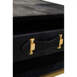 Kensington Townhouse Hair On Hide Black And Gold Coffee Table - thumbnail 6