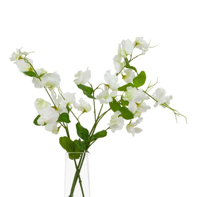 The Natural Garden Collection White Sweetpea Stem - image 1