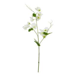 The Natural Garden Collection White Sweetpea Stem - thumbnail 3