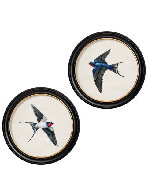 c.1875 Swallows in Round Frames - image 1
