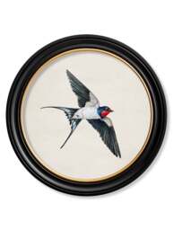 c.1875 Swallows in Round Frames - thumbnail 4