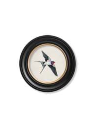 c.1875 Swallows in Round Frames - thumbnail 3
