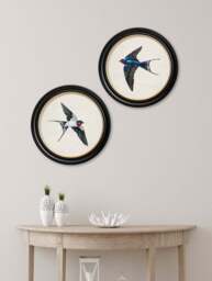c.1875 Swallows in Round Frames - thumbnail 2