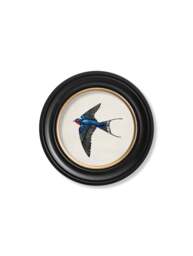 c.1875 Swallows in Round Frames - thumbnail 5