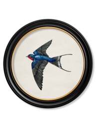 c.1875 Swallows in Round Frames - thumbnail 6