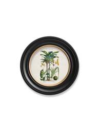 c.1877 Tropical Plants Used as Food and Clothing - Round Frame - thumbnail 4