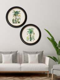 c.1877 Tropical Plants Used as Food and Clothing - Round Frame - thumbnail 2
