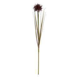 Burgundy Aster Spider Chrysanthemum Stem - thumbnail 4