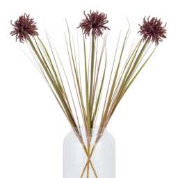 Burgundy Aster Spider Chrysanthemum Stem - thumbnail 5