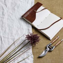 Burgundy Aster Spider Chrysanthemum Stem - thumbnail 1
