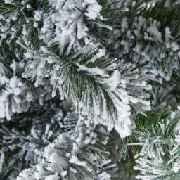 Extra Large Snowy Spruce Tree - thumbnail 3