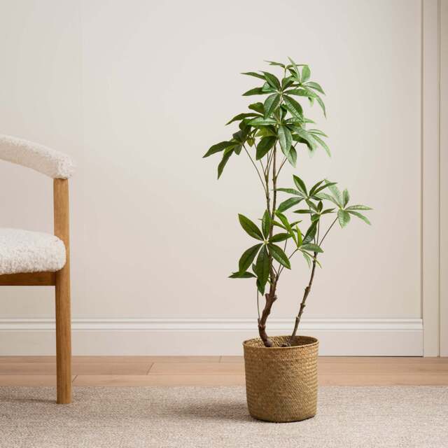 90Cm Real Touch Mexican Fortune Tree - image 1