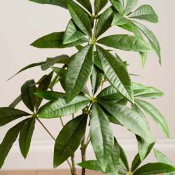 90Cm Real Touch Mexican Fortune Tree - thumbnail 2