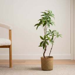 90Cm Real Touch Mexican Fortune Tree - thumbnail 1