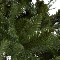 Large Pine Tree - thumbnail 4