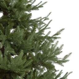 Large Pine Tree - thumbnail 5
