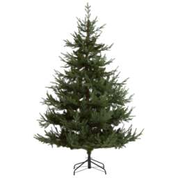 Large Pine Tree - thumbnail 1