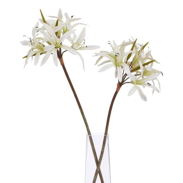 The Natural Garden Collection White Nerine Lily Stem - image 1