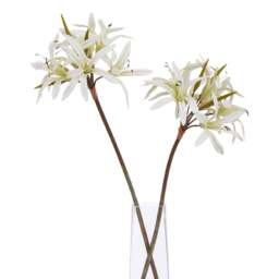 The Natural Garden Collection White Nerine Lily Stem - thumbnail 1