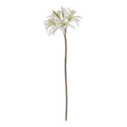 The Natural Garden Collection White Nerine Lily Stem - thumbnail 2