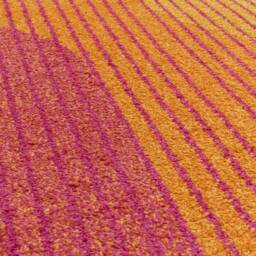 Muse 200x290cm Orange Retro Rug MU13 Rug - thumbnail 6