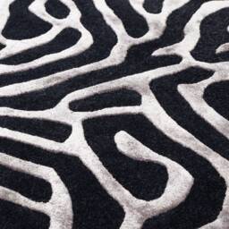 Katherine Carnaby Coral 240x340cm Gunmetal Rug - thumbnail 4