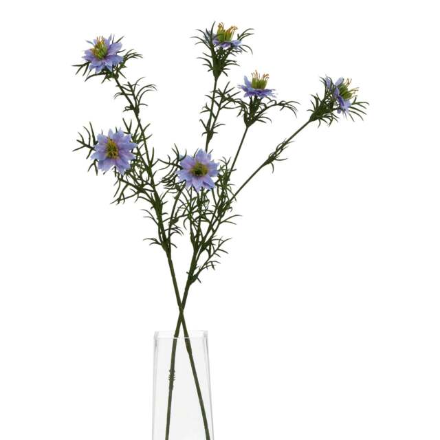 The Natural Garden Collection Purple Nigella Love In A Mist - image 1