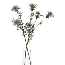 The Natural Garden Collection Purple Nigella Love In A Mist - thumbnail 1