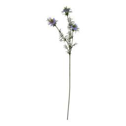 The Natural Garden Collection Purple Nigella Love In A Mist - thumbnail 2