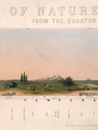 c.1852 View of Nature in all Climates - From the Equator to the Arctic Circle - thumbnail 6