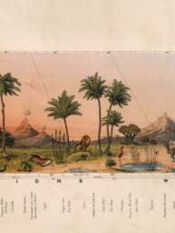 c.1852 View of Nature in all Climates - From the Equator to the Arctic Circle - thumbnail 4