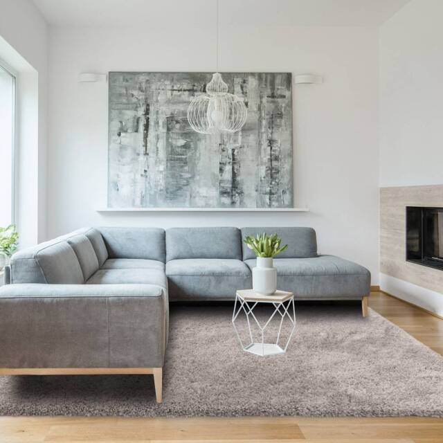 Ritchie 160x230cm Light Grey Rug Rug - image 1