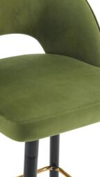 Set Of 2 Amore Velvet Upholstery Bar Stool With Gold Ornament, Vine Green - thumbnail 8